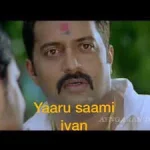 1000016521.webp 1000016521.webp