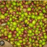 20250521_151301.webp 20250521_151301.webp