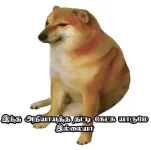 FB_IMG_1631596686105.webp FB_IMG_1631596686105.webp