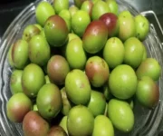 1747820697458.webp 1747820697458.webp