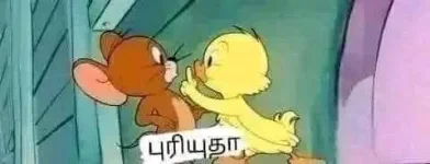 FB_IMG_1760015540531.webp FB_IMG_1760015540531.webp